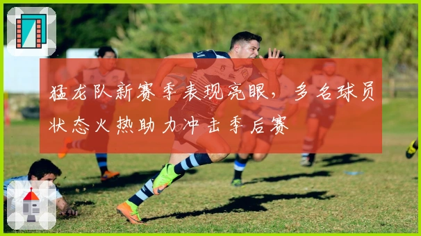 猛龙队新赛季表现亮眼，多名球员状态火热助力冲击季后赛